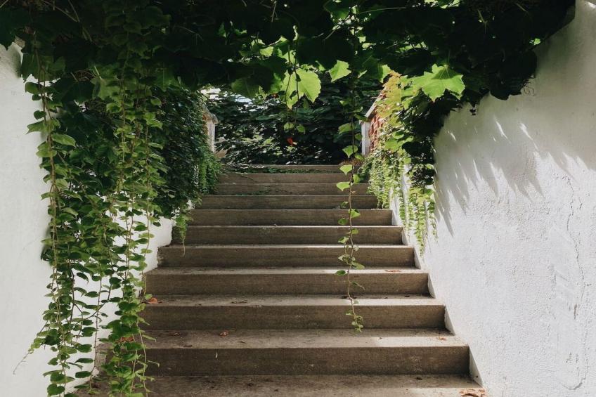 Großmutters Scheune - foto 38