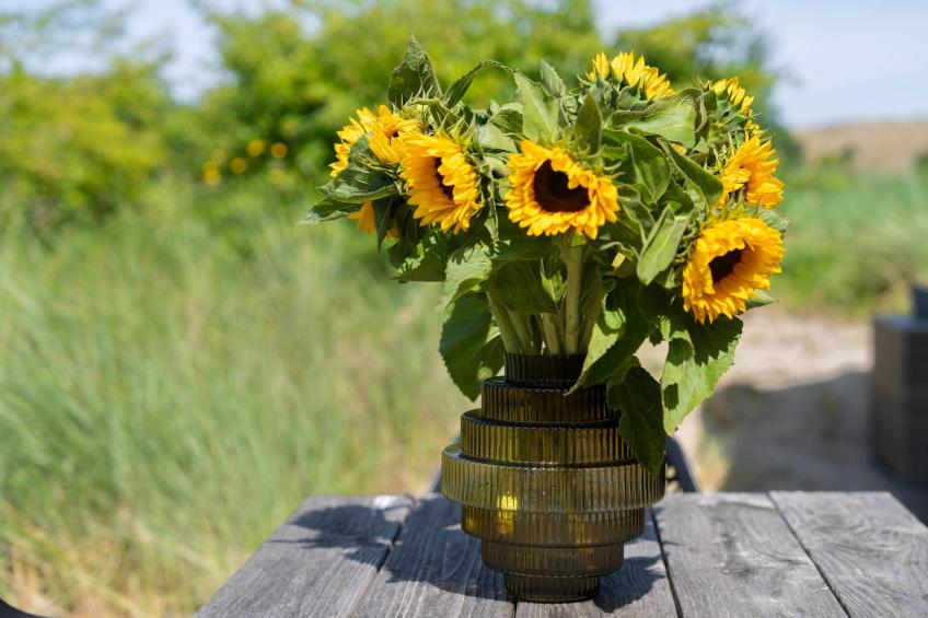 Duinvilla aan het Meer - foto 37