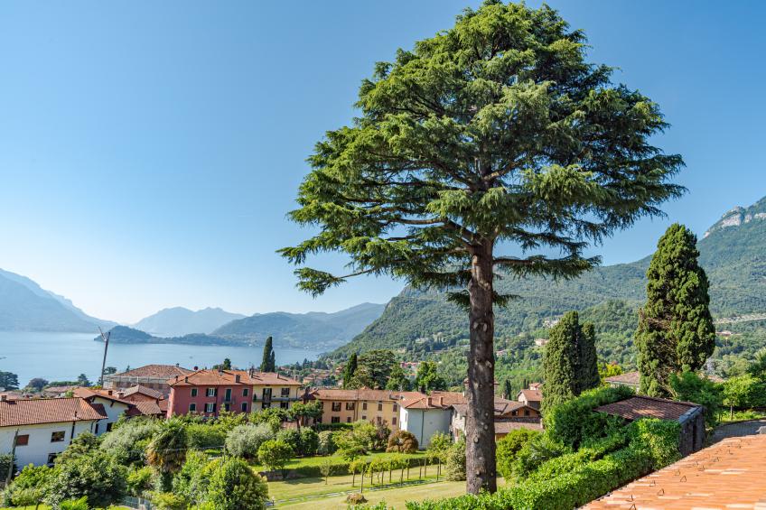 CO.RI. Appartamenti 5 - foto 2