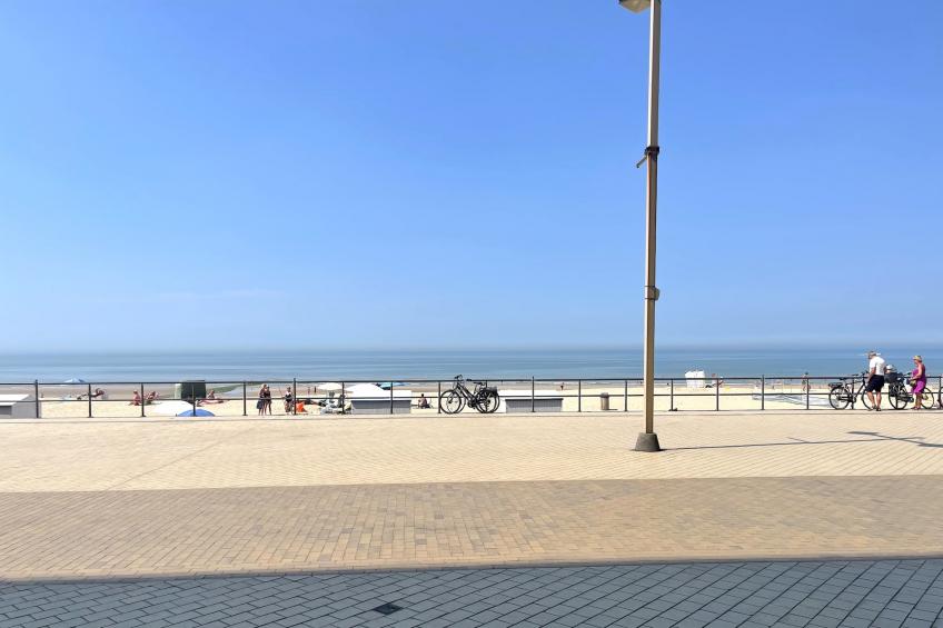 2000 0806/ 87 - foto 12