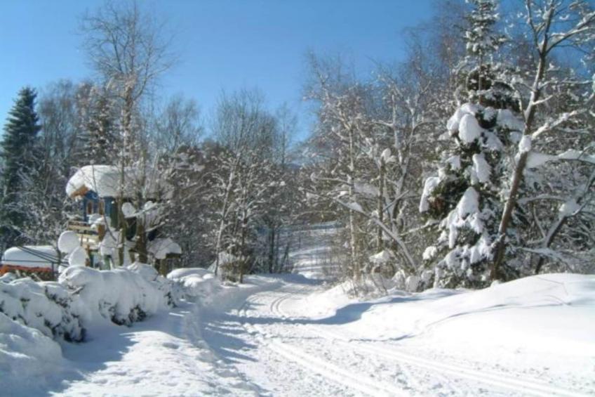 Im Bayerischen Wald - foto 35