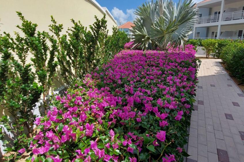 Blije Rust 2 - Penthouse Curadise - foto 12