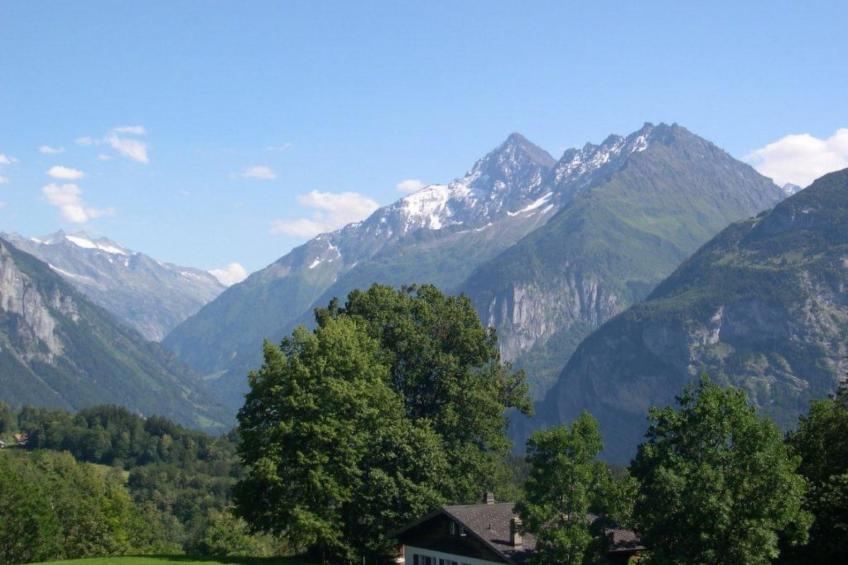 FeWo Zenger-Jossi - foto 11