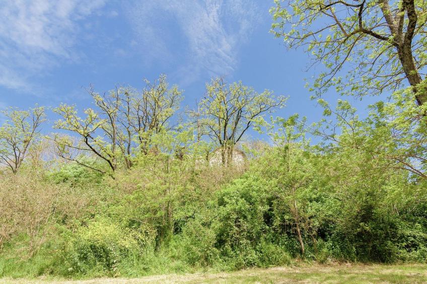 Villa Tournesol - foto 25