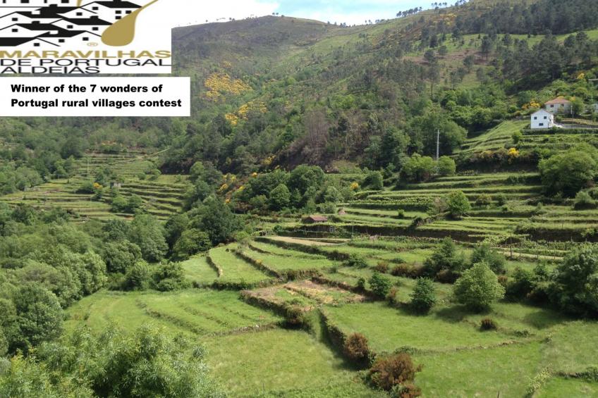 "Großvaters Häuschen" mit Kamin - foto 7