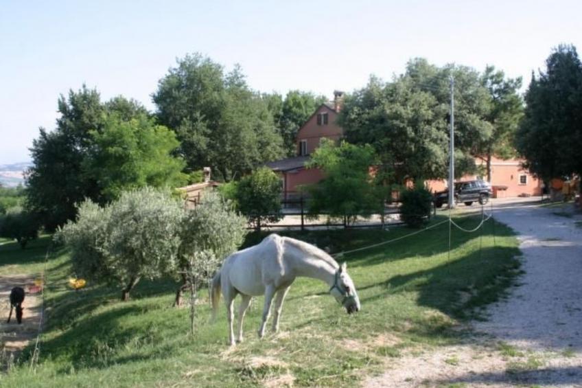 in der Gegend zwischen Meer und Berghang - foto 16