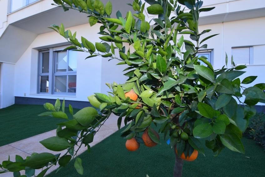 Casa Frambuesa - foto 40
