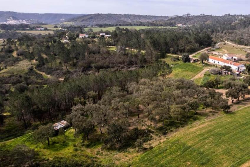 Casinha Da Paz - foto 36