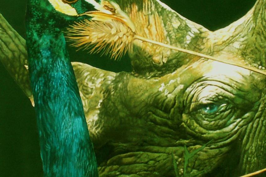 'Suite Zibibbo' mit Aussicht - foto 9