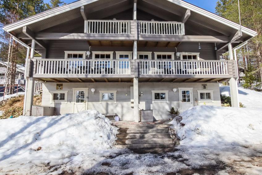 Hallanhelmi a paritalo