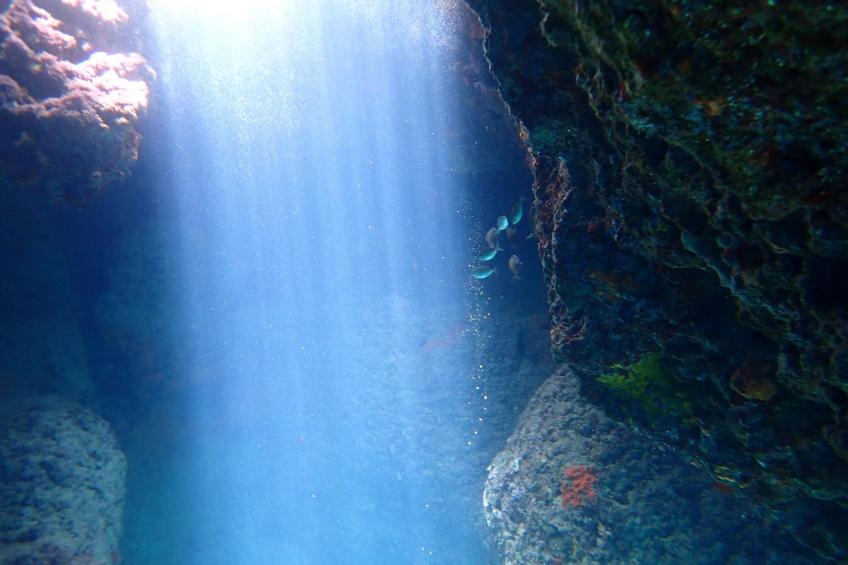 Villa "Dionysos" mit privatem Pool - foto 46