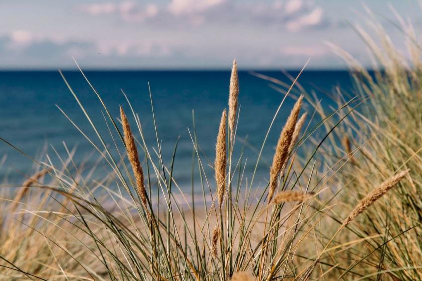 Admiral's Corner Lee - foto 43