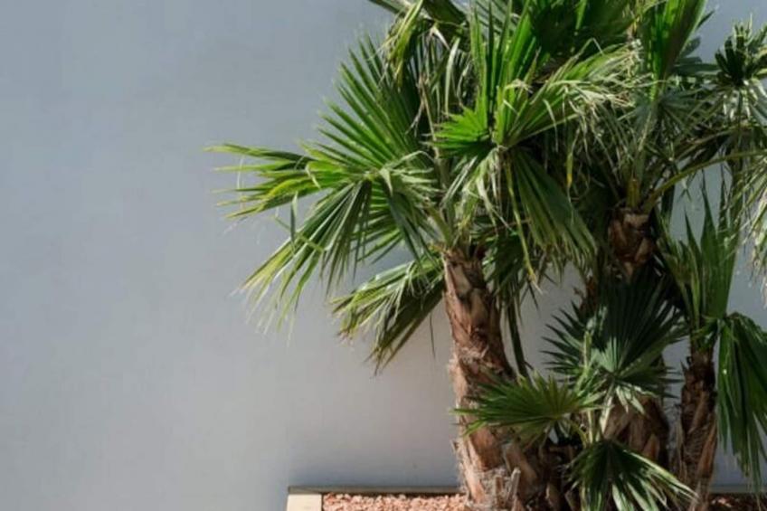 Résidence La Perle Rose Villa Standing 5 étoiles Avec Piscine Jacuzzi Et Superbe Vue - foto 54