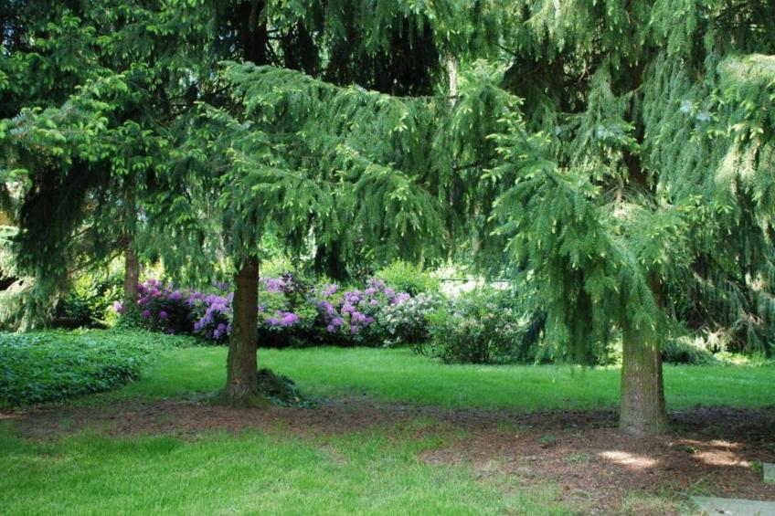 Vakantiepark Klein Vink 19 - foto 26