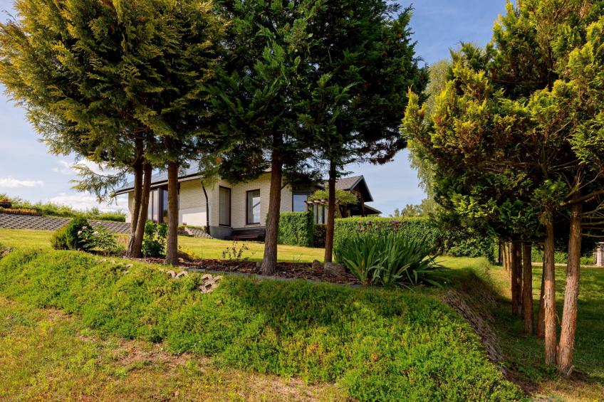 Trzy Brzozy - foto 29