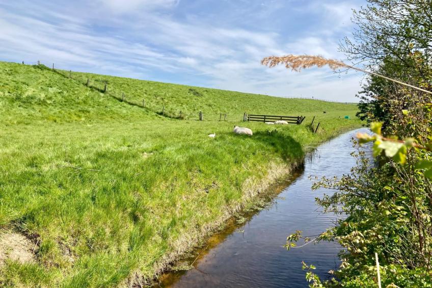 155 Joke am Deich - foto 22