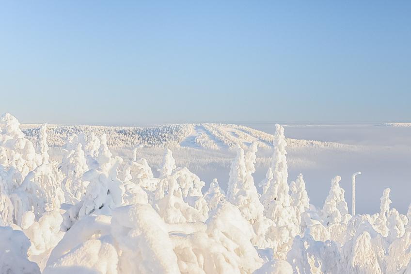 Loma-saaga 3 - foto 42