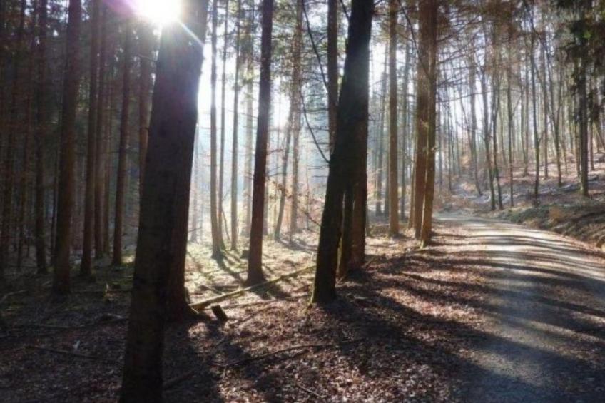 Miltenberg - foto 25