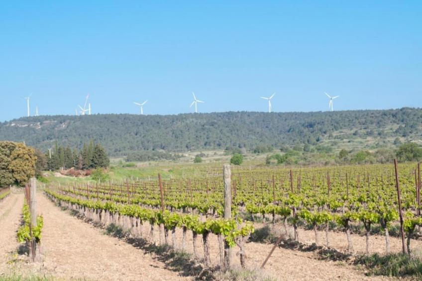 Villa Sainte Valière - foto 36