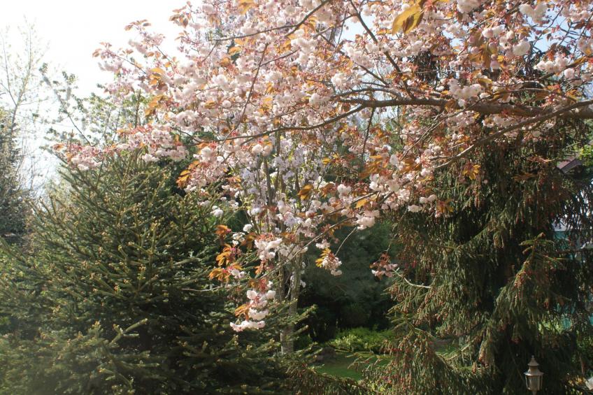 Meer, Landschaft, Stille - Ferienhäuser in den Gärten von Magra - foto 31