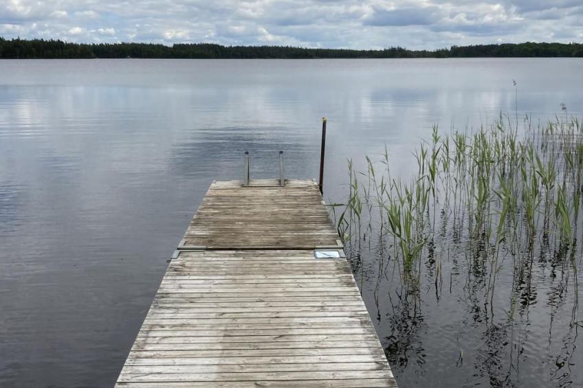 Blombacker - foto 24