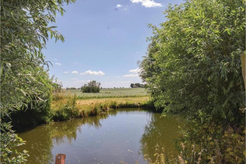 Hommelhove - foto 26