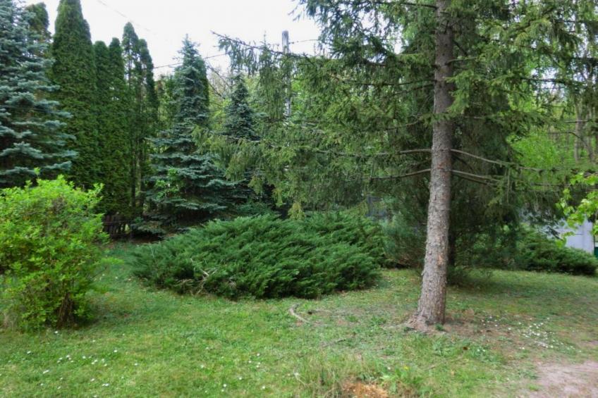 Ferienhaus Donauknie - foto 25