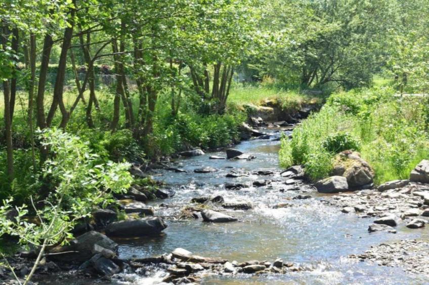 Chantemerle - foto 38