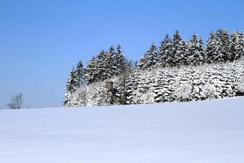 Bergresort Winterberg - foto 6