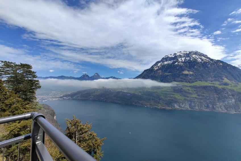Villa Seelisberg mit Jacuzzi und Panoramablick - foto 44