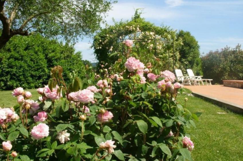 Villa mit privatem Pool 70 Kilometer von Rom entfernt - foto 38