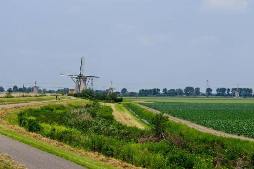 Gelijkvloerse vakantiewoning 6p huisje 17 - foto 30