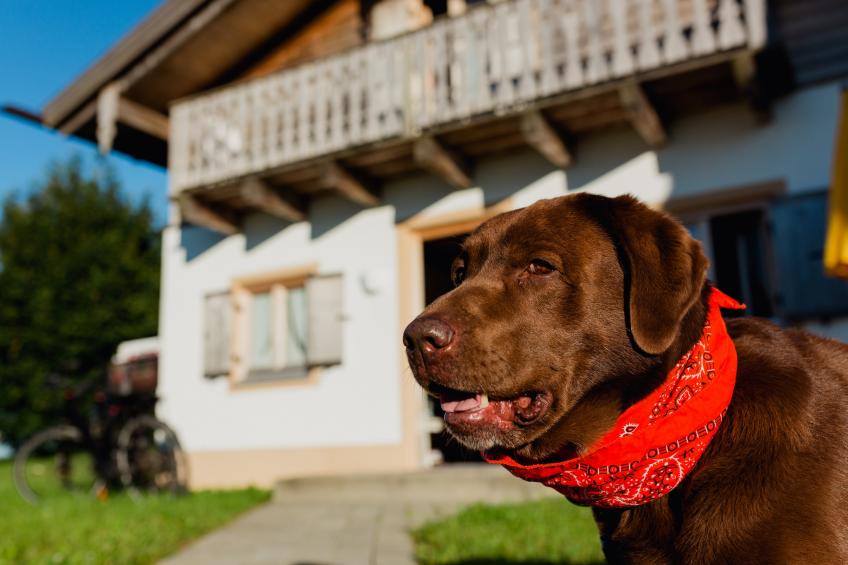 Vital Ferienhaus - foto 3