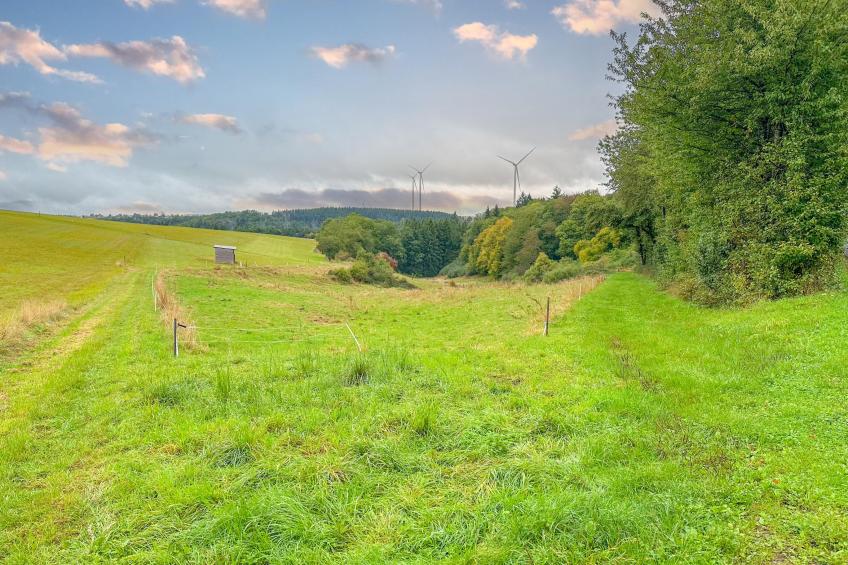 Panoramablick - foto 15