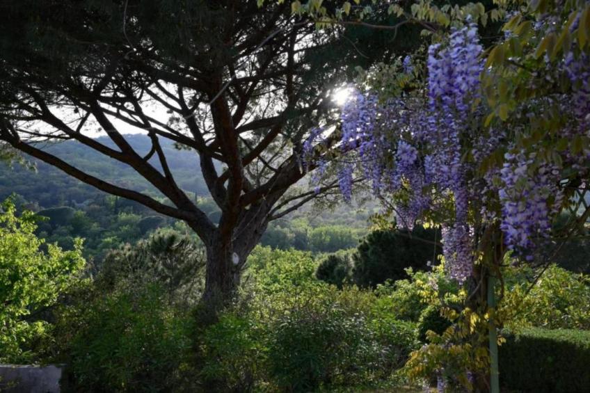 La Palmeraie - foto 19