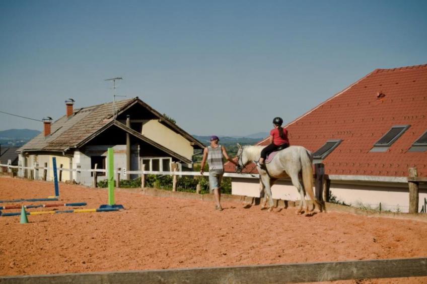 Zevnik Quiet Retreat with Stunning Views and Equestrian Activities - One Bedroom Apartment - foto 28