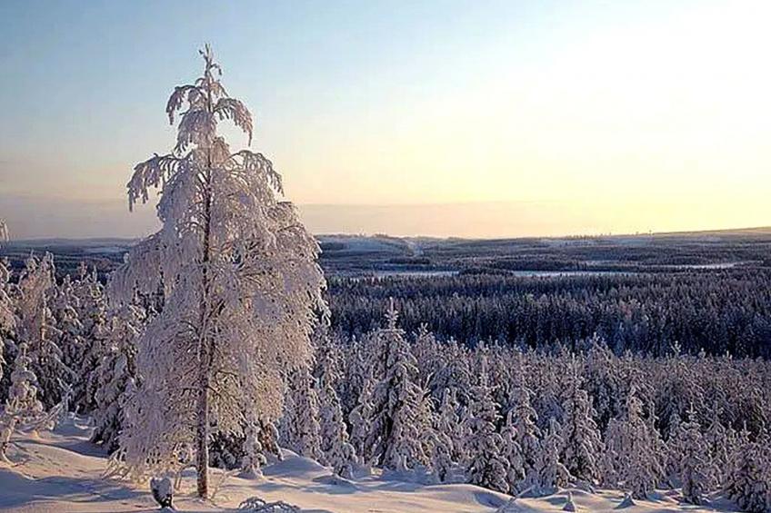 am Wald mit Kaminofen und Veranda - foto 12