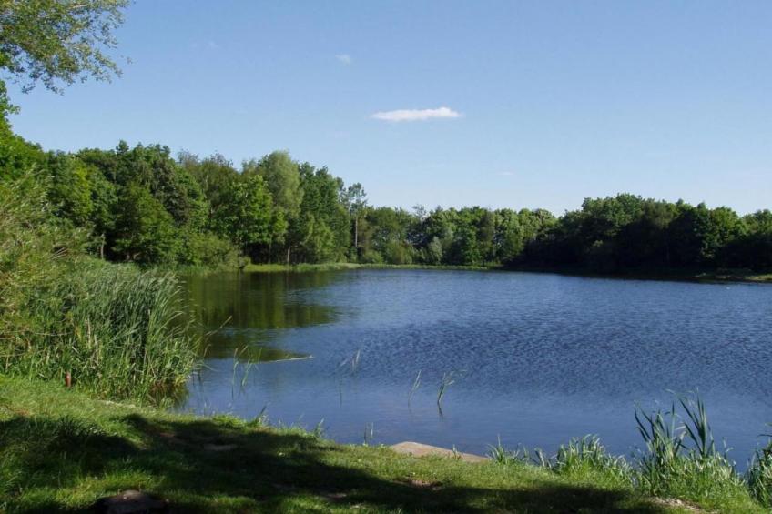 Vakantiepark Schaijk 4 - foto 35