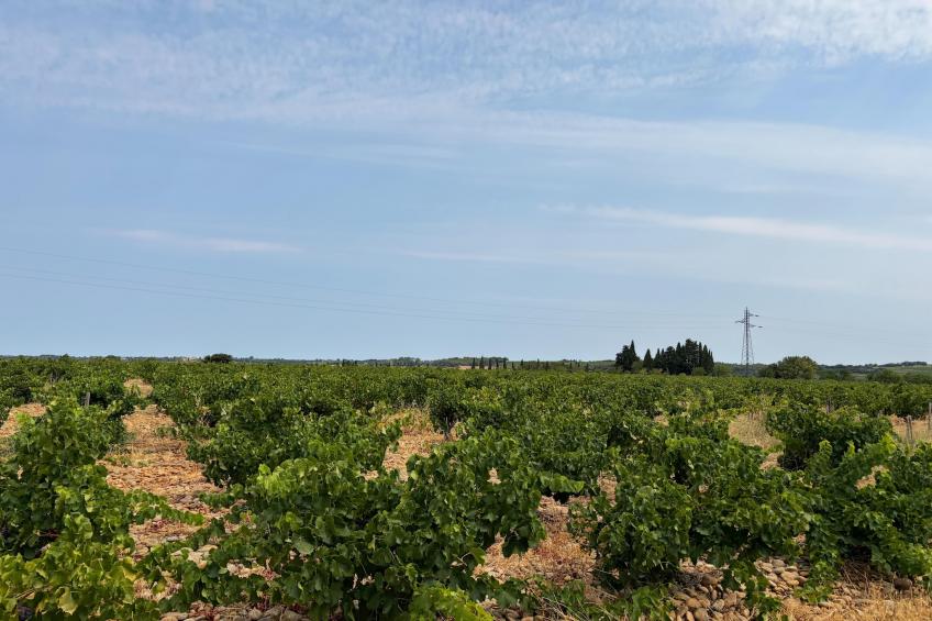 Sorgue 9 - foto 45