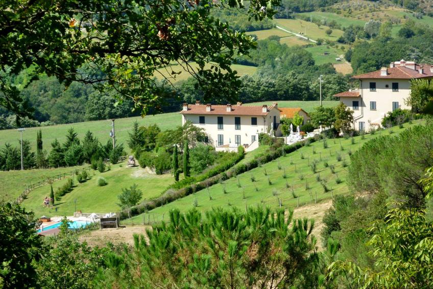 Vigna La Corte (DCO172)