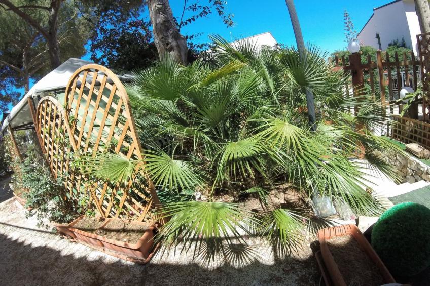 'Villa sul porto - foto 3