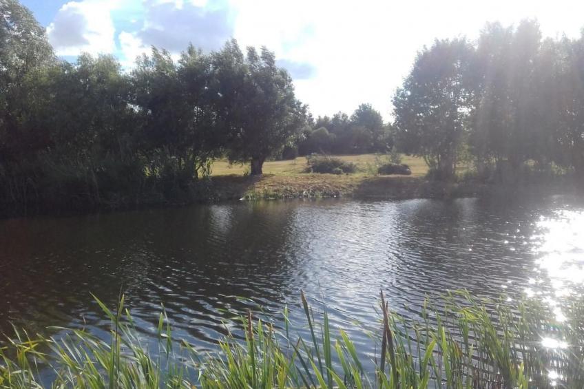 Blockhaus mit eigenem See - foto 16