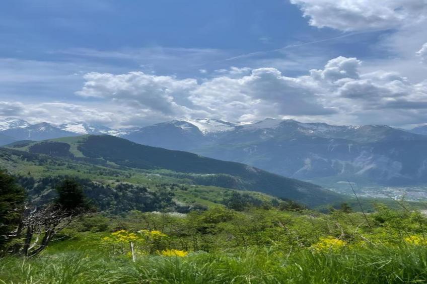 Résidence l'Éclose 1 - foto 21