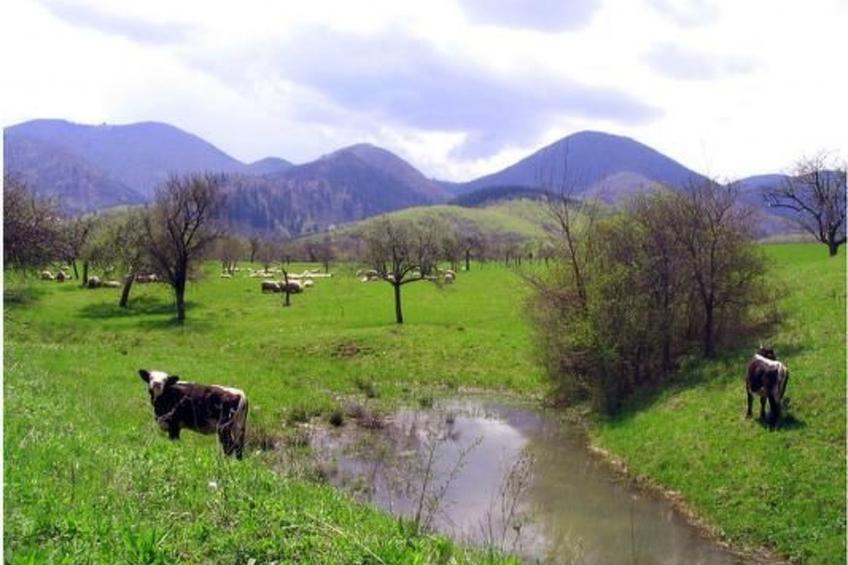 Casa Zollo 2 - kuschelige Fewo in den Hügeln - foto 27