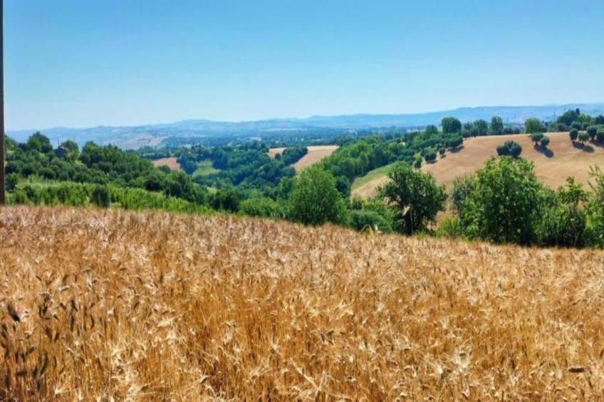 Binnella 18 - foto 26