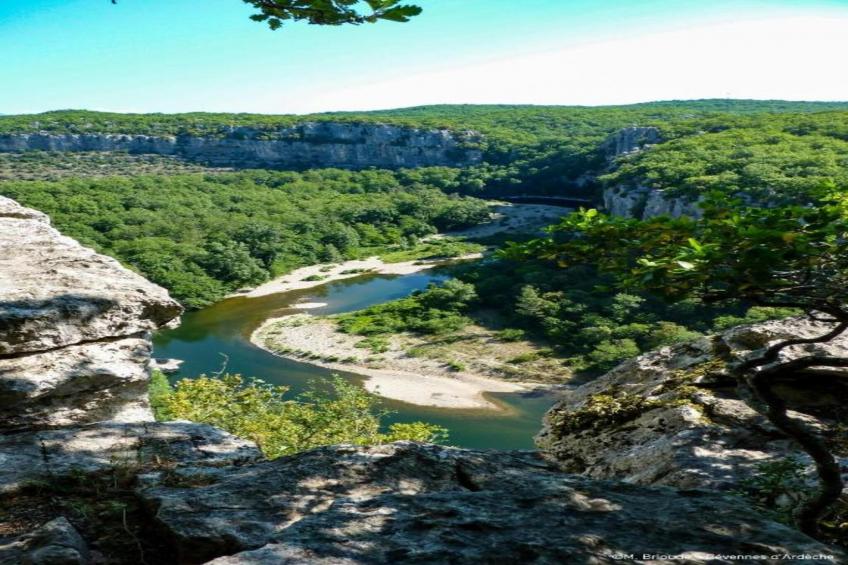 Coccinelles - foto 31