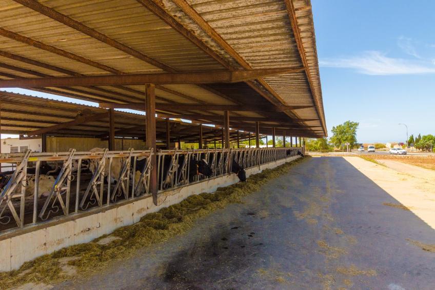 Sa Caseta De Ses Vaques.son Covas - foto 31