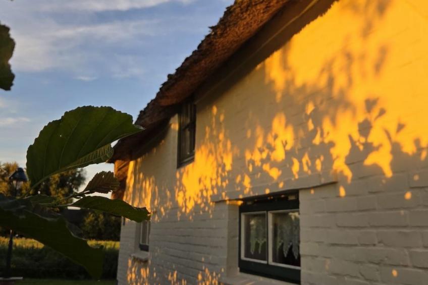 Reetdachhaus Petra - foto 19