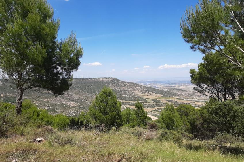 Landwohnung mit Bergblick - foto 41