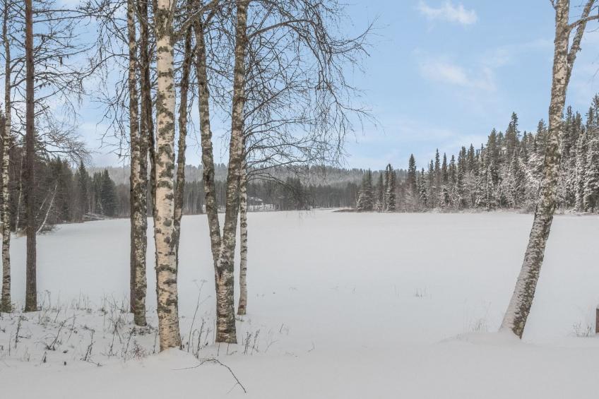 Vaahtissuvanto - foto 25